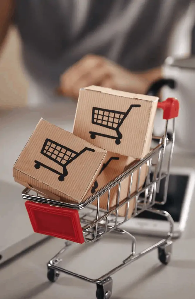 image of shopping cart used in e-commerce software